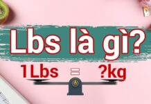 Lbs là gì? 1 Lbs bằng bao nhiêu kg?